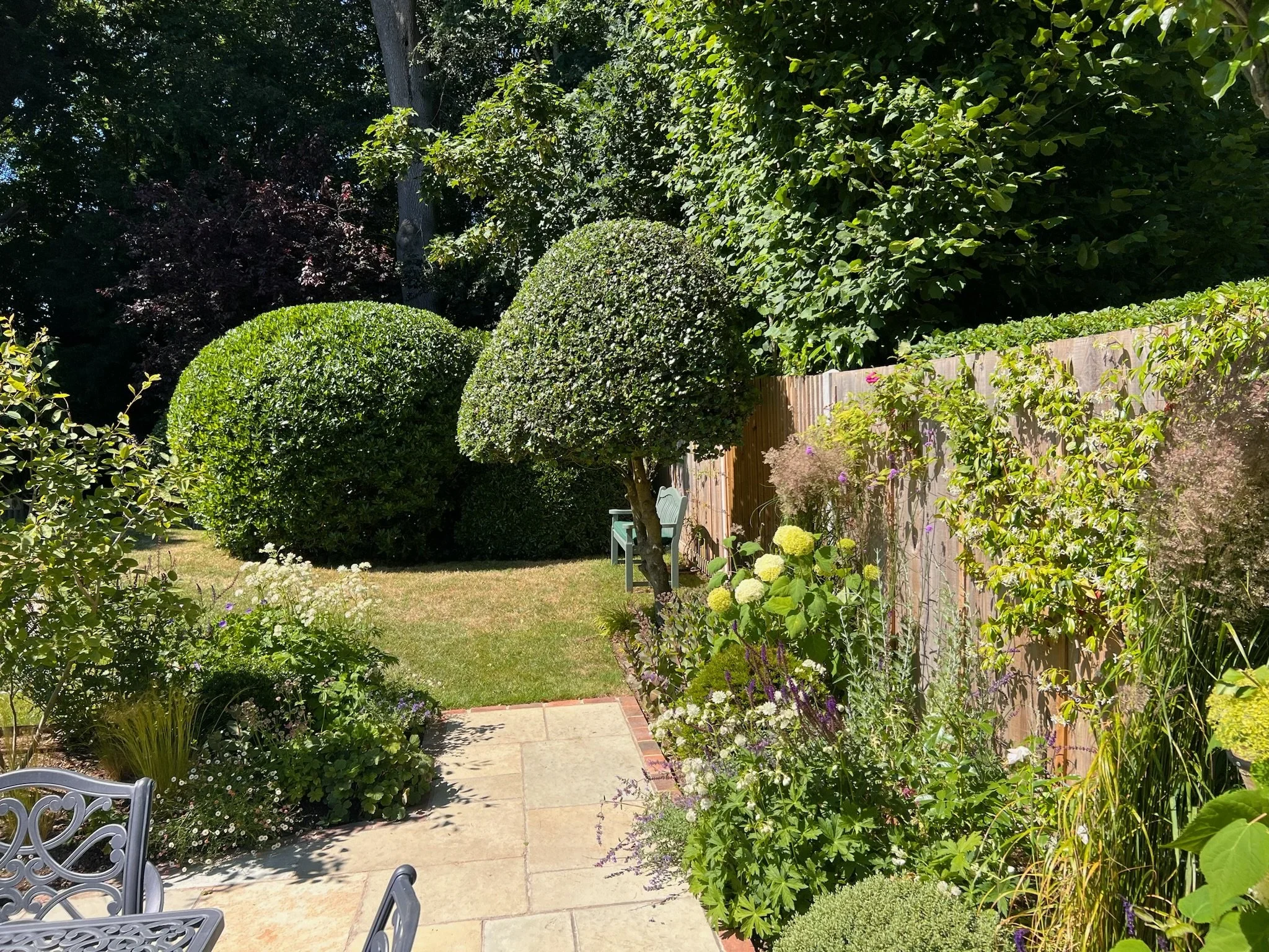Clipped box ball topiary in a traditional brick walled garden.