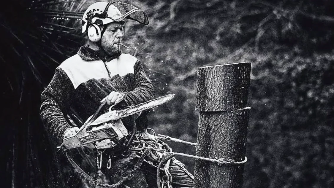 Paul of Arboriscapes working at height with a chainsaw, dismantling a tree in West Sussex